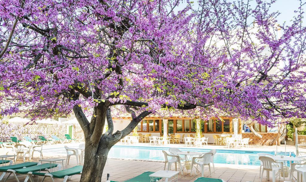 Hotel Gaya Пегера Экстерьер фото